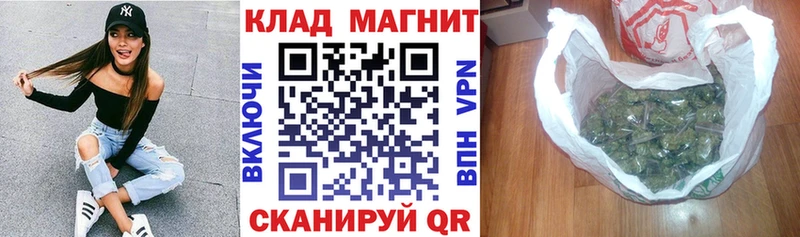 Купить закладку Снежногорск ГАШИШ  A-PVP  Мефедрон  АМФ  Конопля 