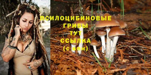 дистиллят марихуана Баксан