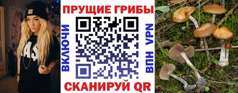 omg сайт Снежногорск Галлюциногенные грибы Magic Shrooms